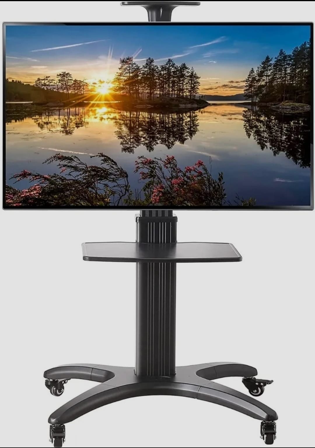 WhatsApp Image 2022-05-10 at 5.35.58 PM